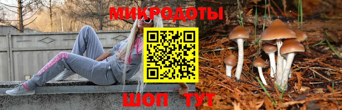 Галлюциногенные грибы мухоморы Малгобек