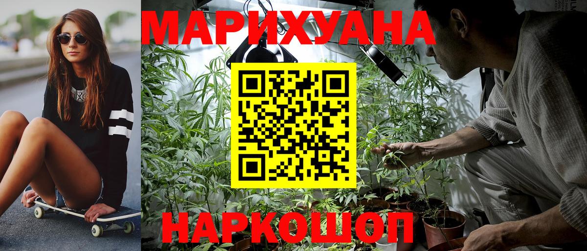 Конопля план  Вход с VPN  Малгобек  Конопля White Widow 